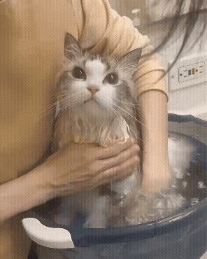 Animated